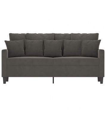 vidaXL 2-Seater Sofa Dark Gray 55.1" Velvet