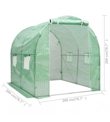 vidaXL Greenhouse 43.1 ft² 6.6'x6.6'x6.6'