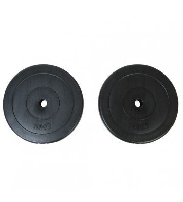 vidaXL Weight Plates 2x22 lb