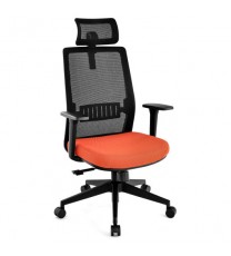 Ergonomic Office Chair with Lumbar Support and Adjustable Headrest-Black