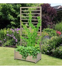 Raised Garden Bed with Trellis for Climbing Plants