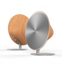 Tone In A Cone Bluetooth Full Room Speaker