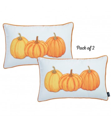 Set Of 2 20" Thanksgiving Pumpkin Throw Pillow Cover In Multicolor