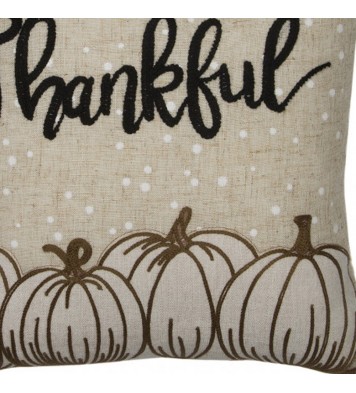 14" X 14" Beige and White Thanksgiving Pumpkin Linen Blend Zippered Pillow With Applique