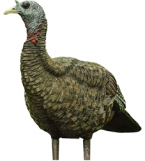 Avian X Lookout Turkey Decoy