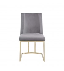 Dining Chairs, Velvet Upolstered Side Chair, Gold Metal Legs (Set of 2) - Gray