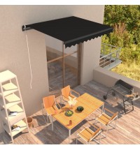 vidaXL Manual Retractable Awning 118.1"x98.4" Anthracite