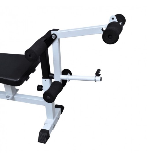 Multi Use Weight Bench