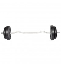 vidaXL Curl Bar with Weights 66.1 lb