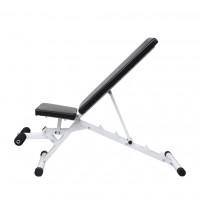 vidaXL Fitness Workout Utility Bench