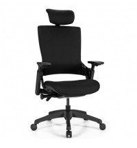 Reclining Computer Desk Chair with 3D Armrests and Headrest