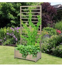 Raised Garden Bed with Trellis for Climbing Plants