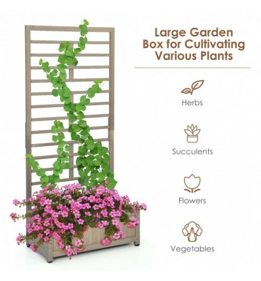 Raised Garden Bed with Trellis for Climbing Plants