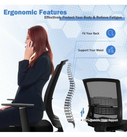 Adjustable Mid Back Mesh Office Chair with Lumbar Support