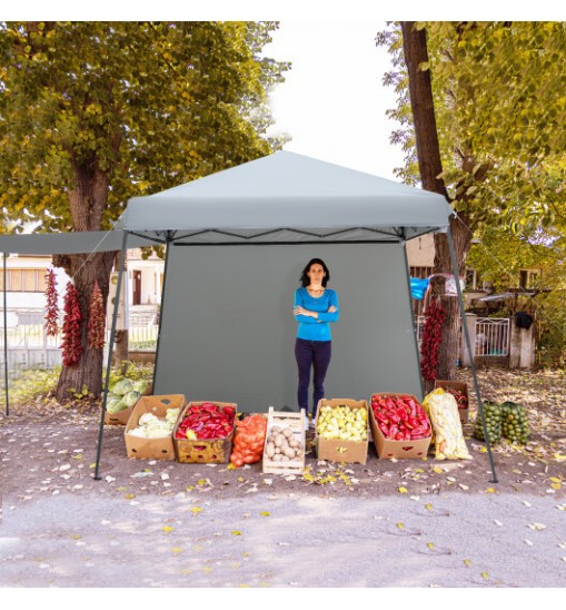 Patio 10x10FT Instant Pop-up Canopy Folding Tent with Sidewalls and Awnings Outdoor-Gray - Color: Gray