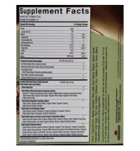 Genceutic Naturals Plant Head Real Meal - Chocolate - 2.3 lb