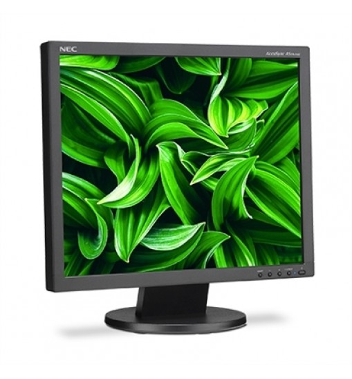 19" LED Backlit LCD Monitor