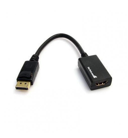 DisplayPort Video Converter