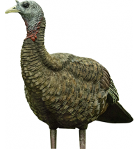 Avian X Lookout Turkey Decoy