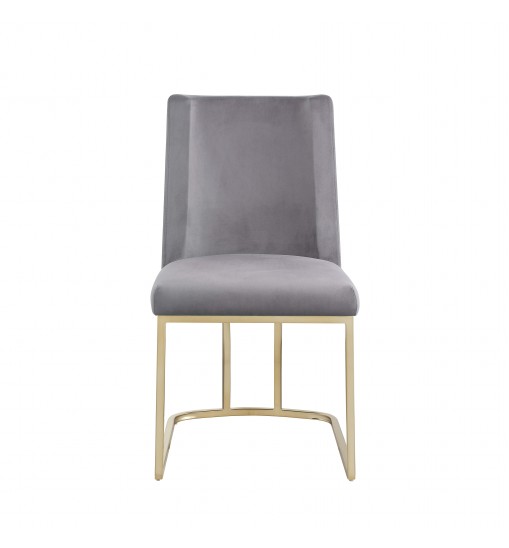 Dining Chairs, Velvet Upolstered Side Chair, Gold Metal Legs (Set of 2) - Gray