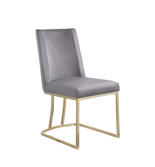 Dining Chairs, Velvet Upolstered Side Chair, Gold Metal Legs (Set of 2) - Gray