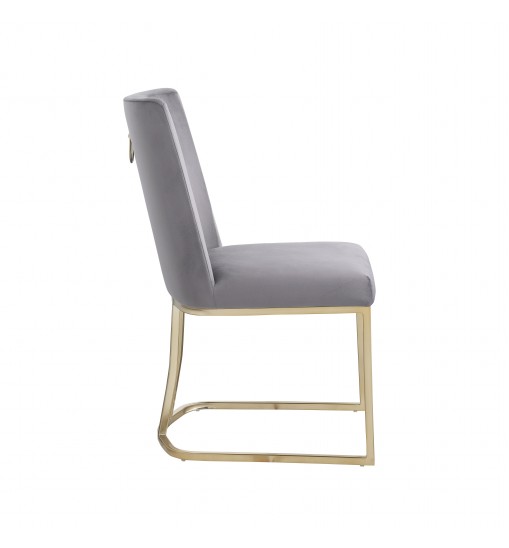 Dining Chairs, Velvet Upolstered Side Chair, Gold Metal Legs (Set of 2) - Gray