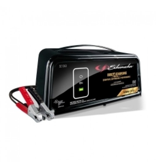 8/2 Amp Battery Charger